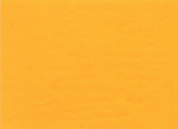 1989 GM Wheatland Yellow